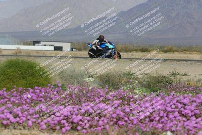 media/Feb-04-2023-SoCal Trackdays (Sat) [[8a776bf2c3]]/Turn 15 Inside Blooming (1050am)/